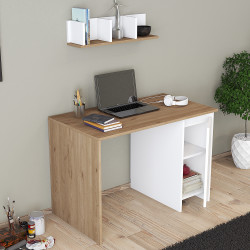 EGE MEŞE- BEYAZ ÇALIŞMA MASASI, BİLGİSAYAR MASASI , OFİS MASASI